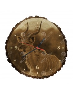 Kudu antilope