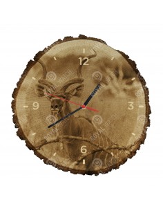 Kudu velký