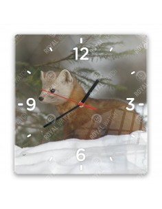 Fichtenmarder