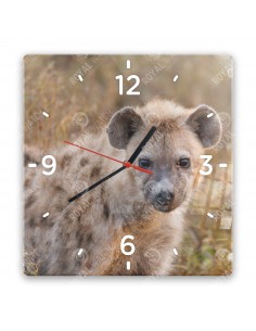 Hyena skvrnitá