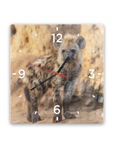 Hyena skvrnitá