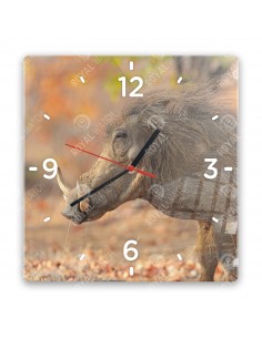Warzenschweine
