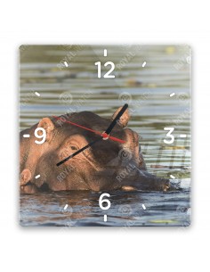 Обыкновенный бегемот