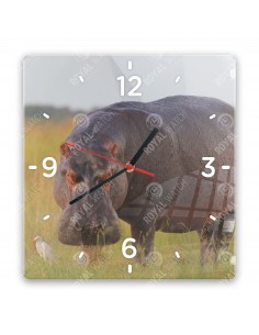 Обыкновенный бегемот