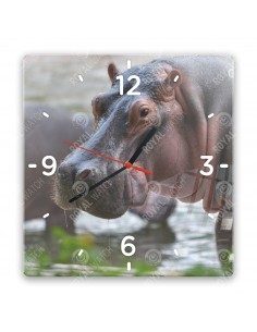 Обыкновенный бегемот