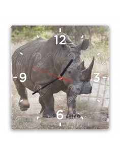 Nashorn