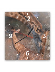 Giraffenn