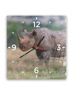 Nosorožec ostronosý