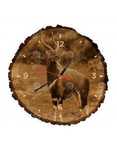 Nyala nížinná