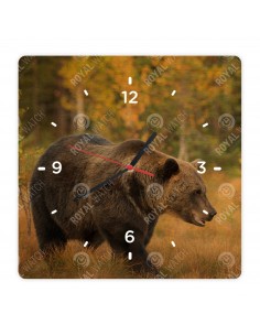 Braunbär