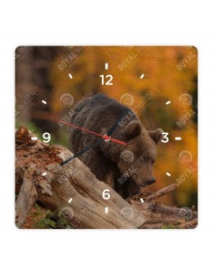 Braunbär