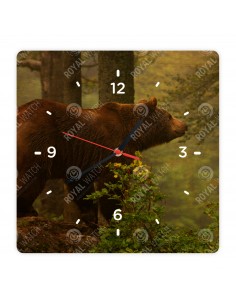 Grizzlybär
