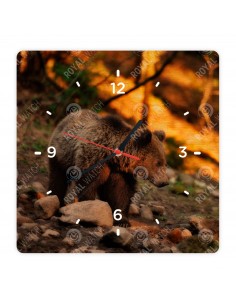 Grizzlybär
