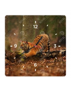 Tigris