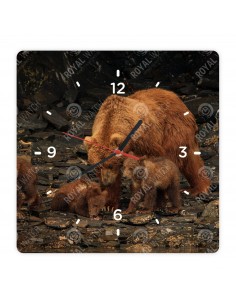 Medvěd grizzly