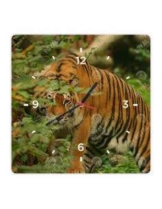 Tigris