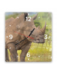 Nosorožec ostronosý