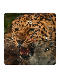 Leopard škvrnitý