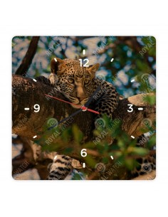 Leopard škvrnitý