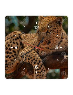 Leopard škvrnitý