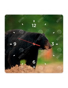 Schwarzbär