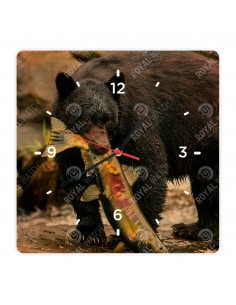 Schwarzbär