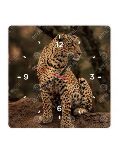 Leopard škvrnitý