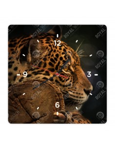 Leopard škvrnitý