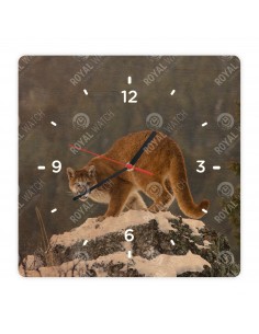 Puma americká