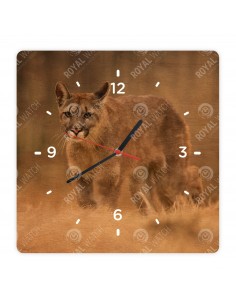 Puma americká