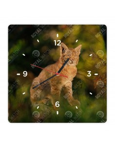 Обыкновенная рысь