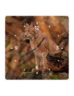 Eurasischer Luchs