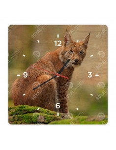 Обыкновенная рысь