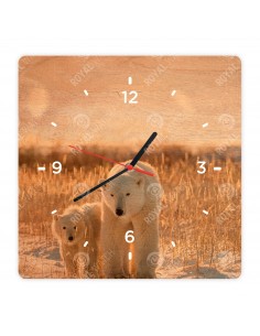 Niedźwiedź polarny