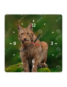 Eurasischer Luchs