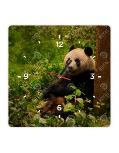 Panda wielka