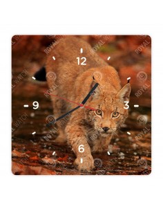 Обыкновенная рысь