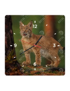 Обыкновенная рысь