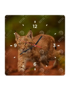 Обыкновенная рысь