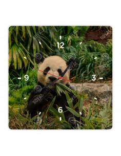 Großer Panda