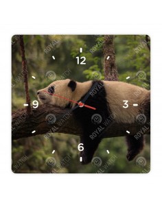 Panda velká