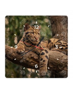 Leopard obláčikový