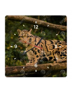 Leopard obláčikový