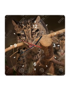 Leopard obláčikový