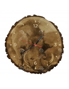 Prasa bradavičnaté