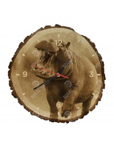 Обыкновенный бегемот