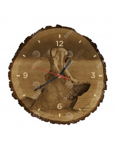 Обыкновенный бегемот