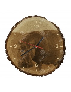 Обыкновенный бегемот