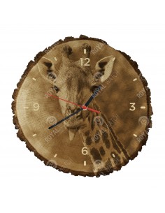 Zsiráf