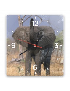 Afrikai elefánt